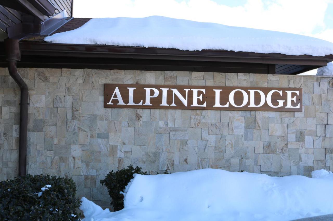Private Apartments In Alpine Lodge Μπάνσκο Εξωτερικό φωτογραφία