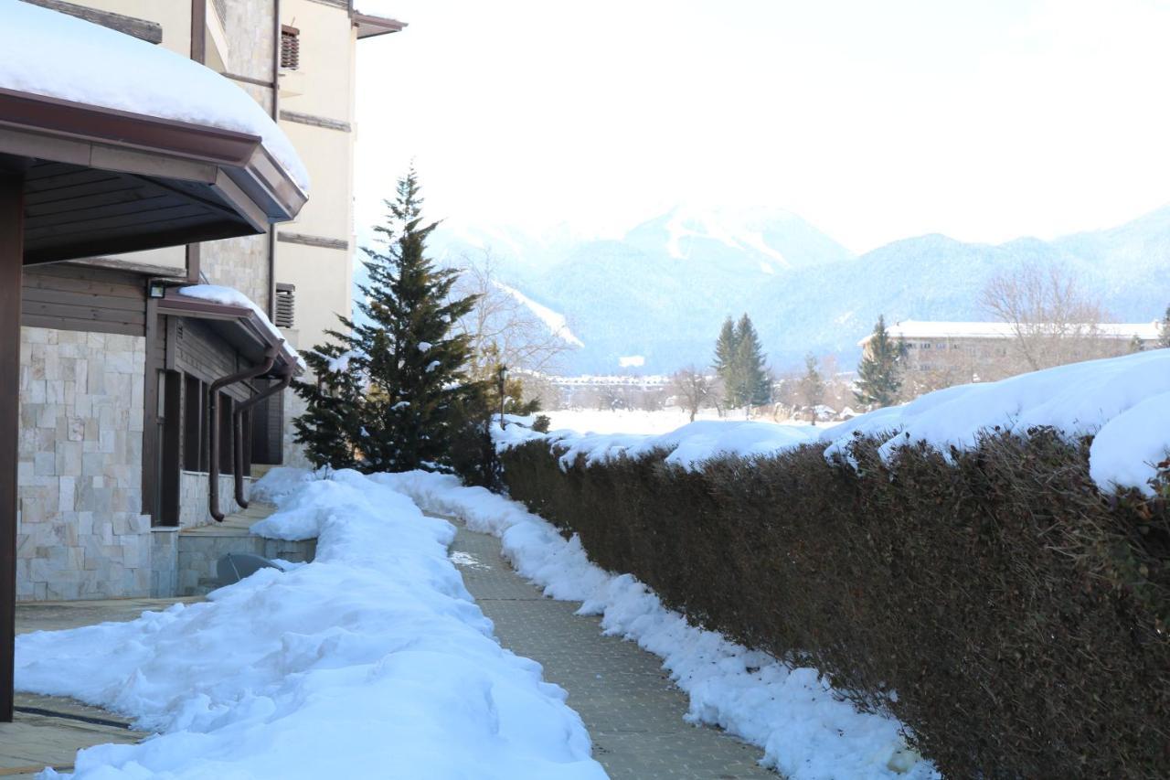 Private Apartments In Alpine Lodge Μπάνσκο Εξωτερικό φωτογραφία